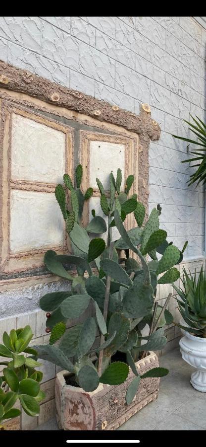 Casa Myda Lägenhet Bari Exteriör bild